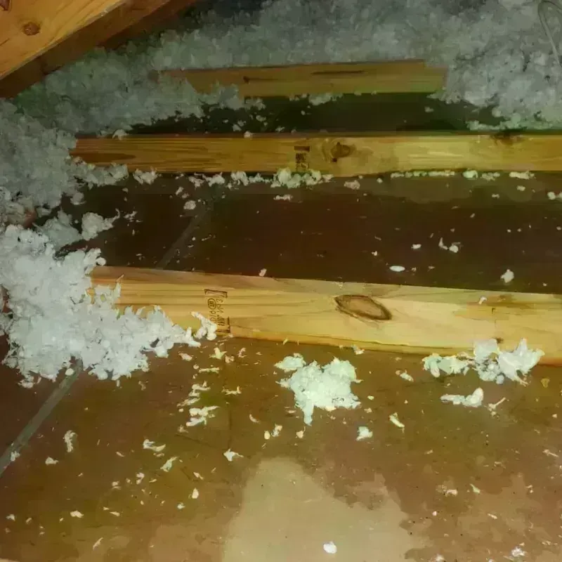 Attic Water Damage in Collings Lakes, NJ